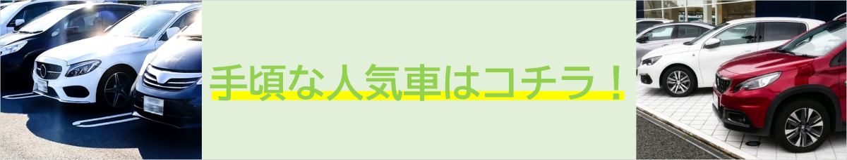 ショップイチオシの車をラインナップ！！